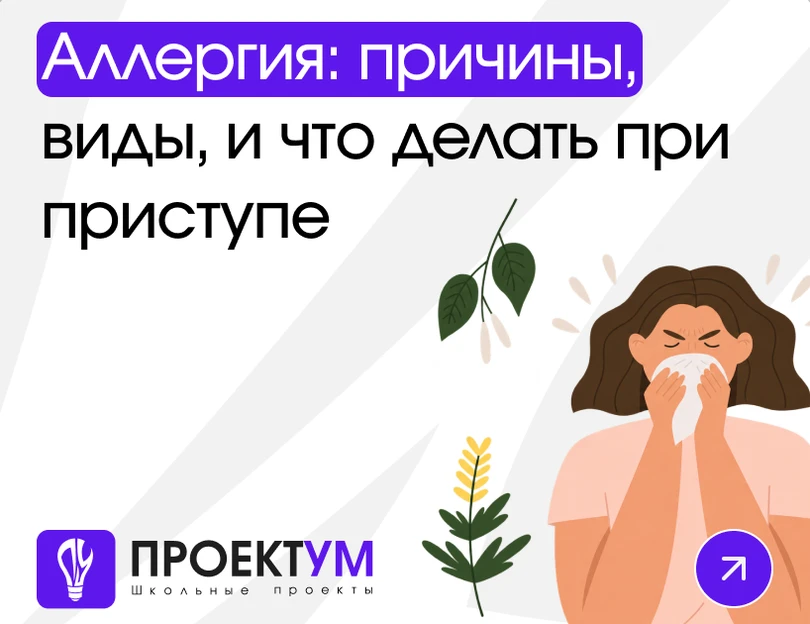 Индивидуальный проект «Аллергия: причины, виды и что делать при приступе» — обложка готовой работы