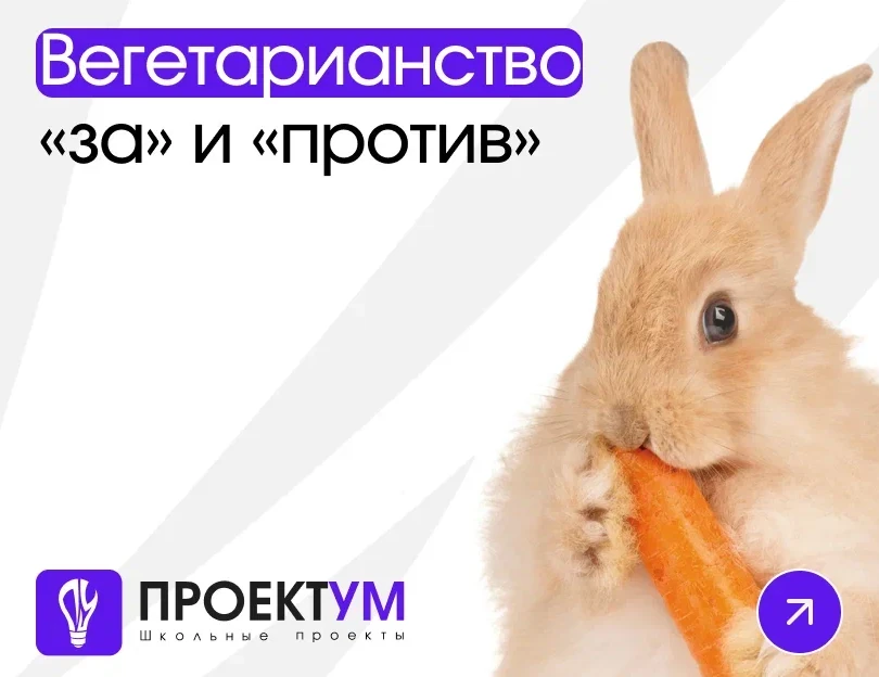 Индивидуальный проект «Вегетарианство: за или против» — обложка готовой работы