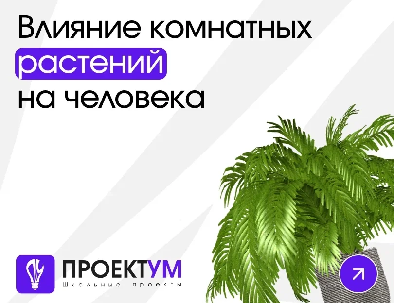 Индивидуальный проект «Влияние комнатных растений на человека» — обложка готовой работы