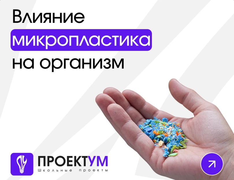 Индивидуальный проект «Влияние микропластика на организм человека» — обложка готовой работы