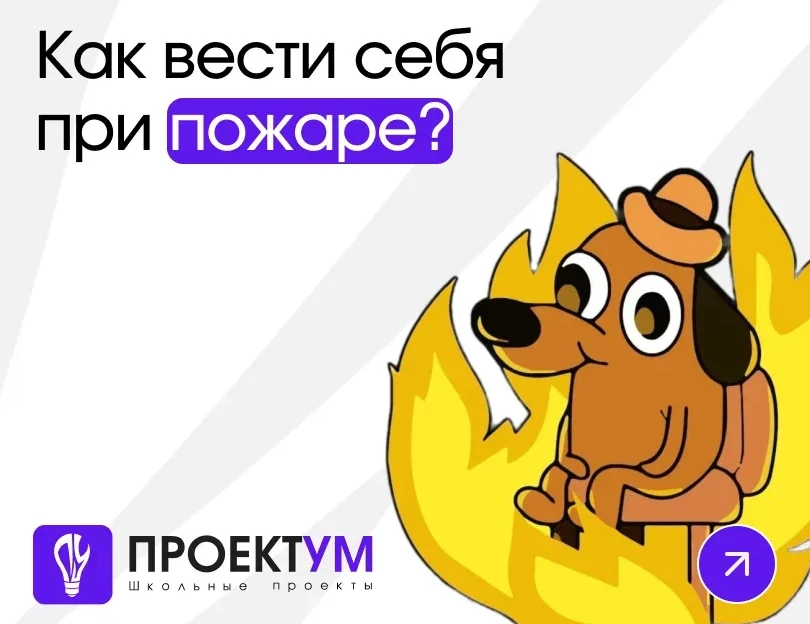 Индивидуальный проект «Как вести себя при пожаре?» — обложка готовой работы