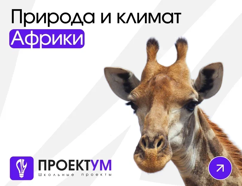 Индивидуальный проект «Природа и климат Африки» — обложка готовой работы