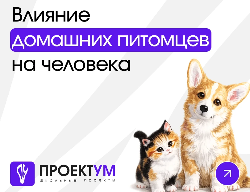 Индивидуальный проект «Влияние домашних питомцев на человека» — обложка готовой работы