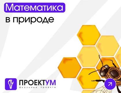 Индивидуальный проект «Математика в природе» — обложка готовой работы
