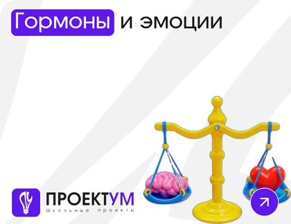 Индивидуальный проект «Гормоны и эмоции: как биохимия управляет настроением» — обложка готовой работы