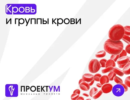 Индивидуальный проект «Кровь и группы крови» — обложка готовой работы