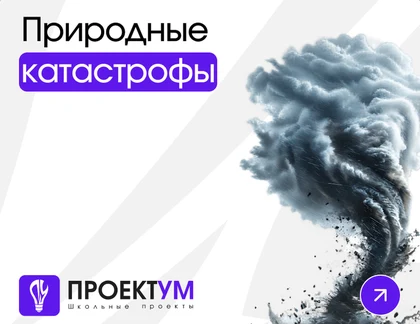 Индивидуальный проект «Природные катастрофы: землетрясение, цунами, наводнение» — обложка готовой работы