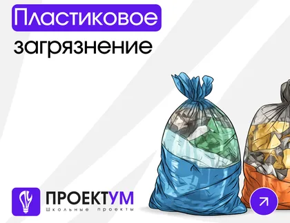 Индивидуальный проект «Пластиковое загрязнение и его влияние на окружающую среду» — обложка готовой работы