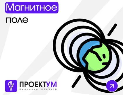 Индивидуальный проект «Магнитное поле» — обложка готовой работы