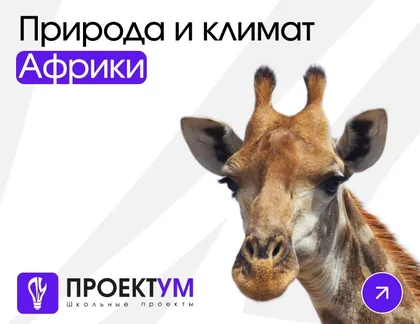 Индивидуальный проект «Природа и климат Африки» — обложка готовой работы