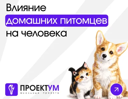 Индивидуальный проект «Влияние домашних питомцев на человека» — обложка готовой работы