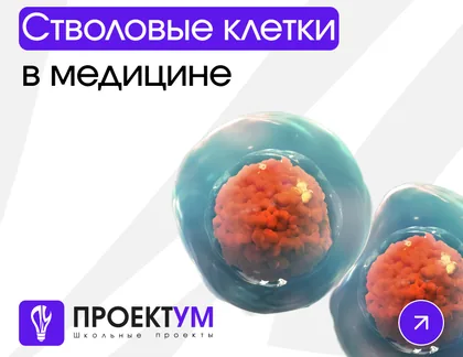 Индивидуальный проект «Стволовые клетки в медицине» — обложка готовой работы